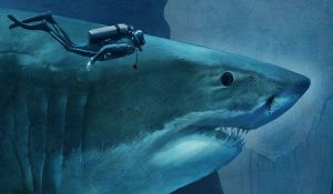 Акулу мегалодон можно отметить как бесспорного победителя среди вымерших видов в списке гигантов морского дна